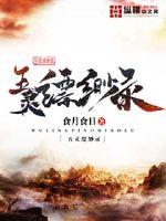 五灵缥缈录封面