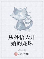 从孙悟天开始的龙珠封面
