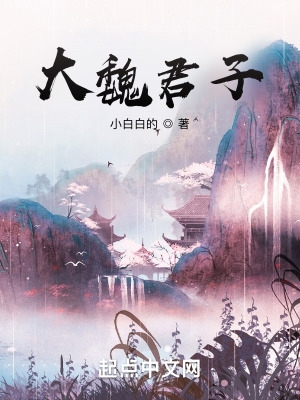 大魏君子封面